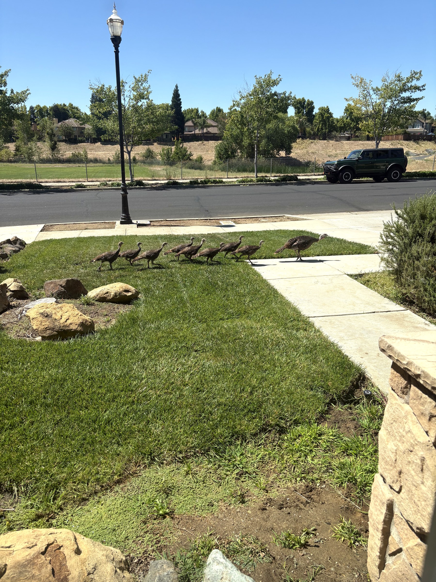Neighborhood setting near Buena Vista